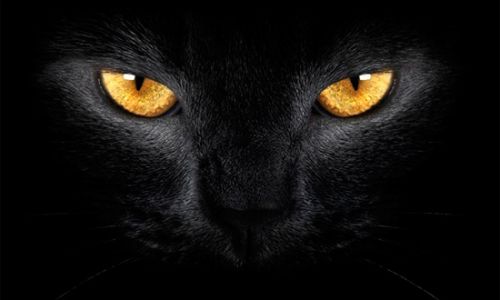 La historia oculta detrás de la teoría económica